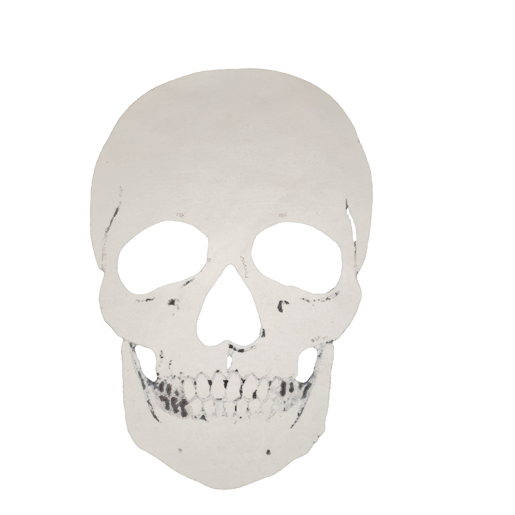 White Skulled Hoodie